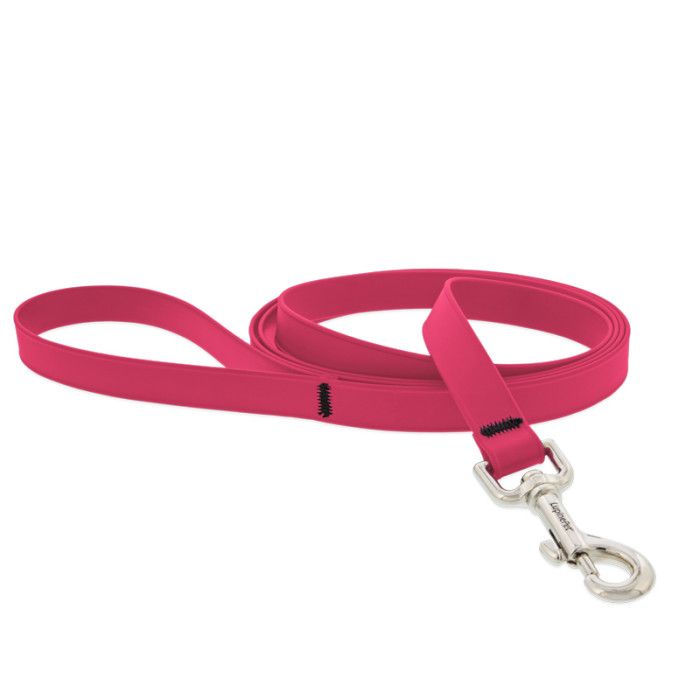 Lupine Leash 1'' Splash Neon Pink 6ft