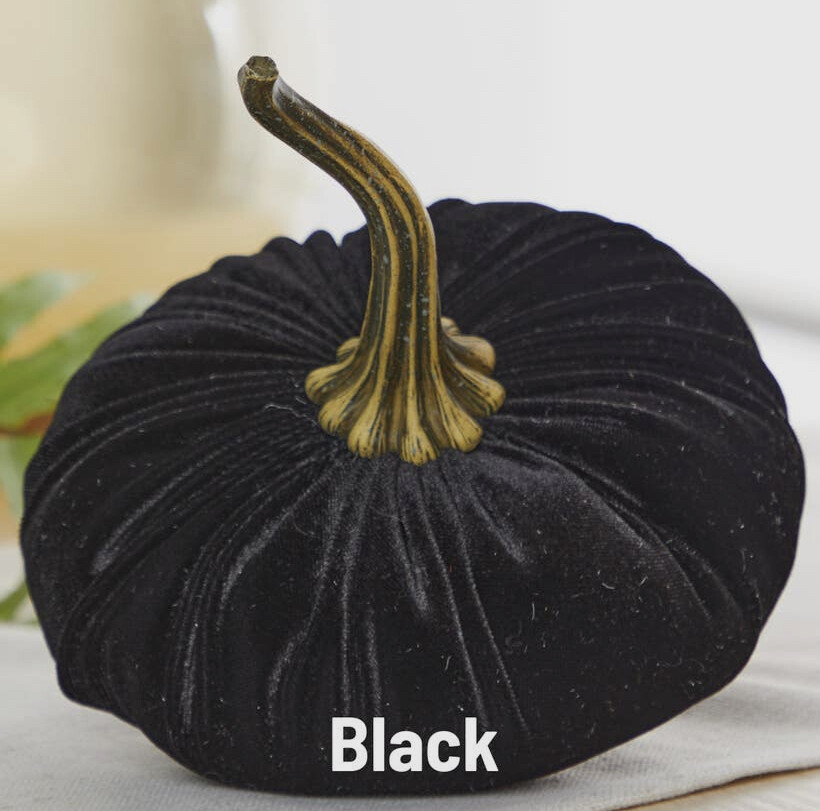 Velvet Pumpkins BLACK 