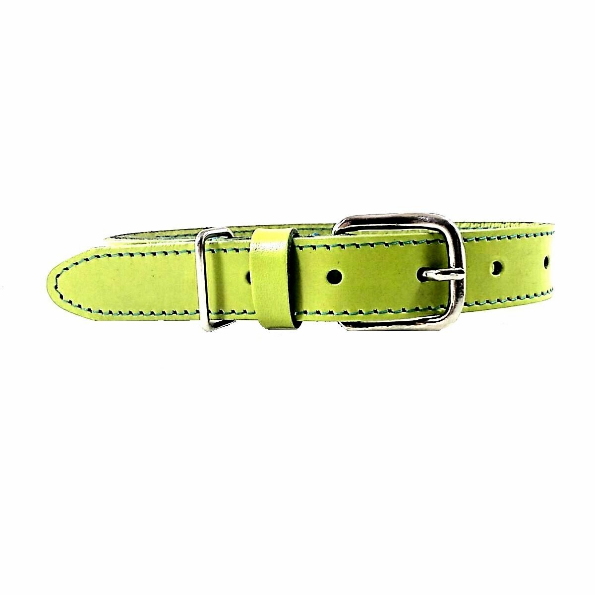 COLLAR DE PERRO DE PIEL VAQUETILLA