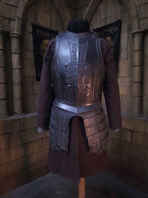 Vinhem breastplate and tassets