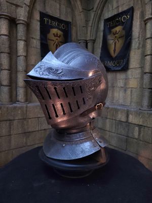 Wivern Rider knight helmet Wivern Rider knight helmet