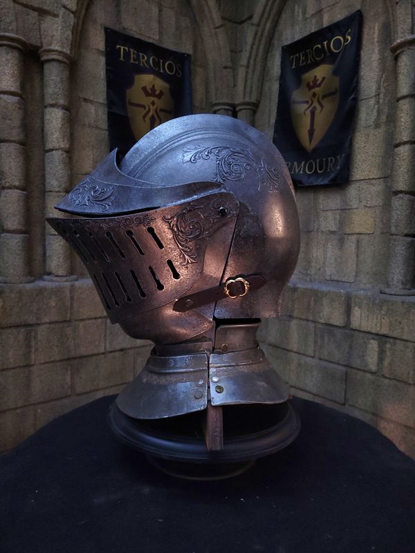 Wivern Rider knight helmet