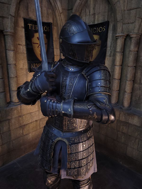 Black Sir Vinhem armor