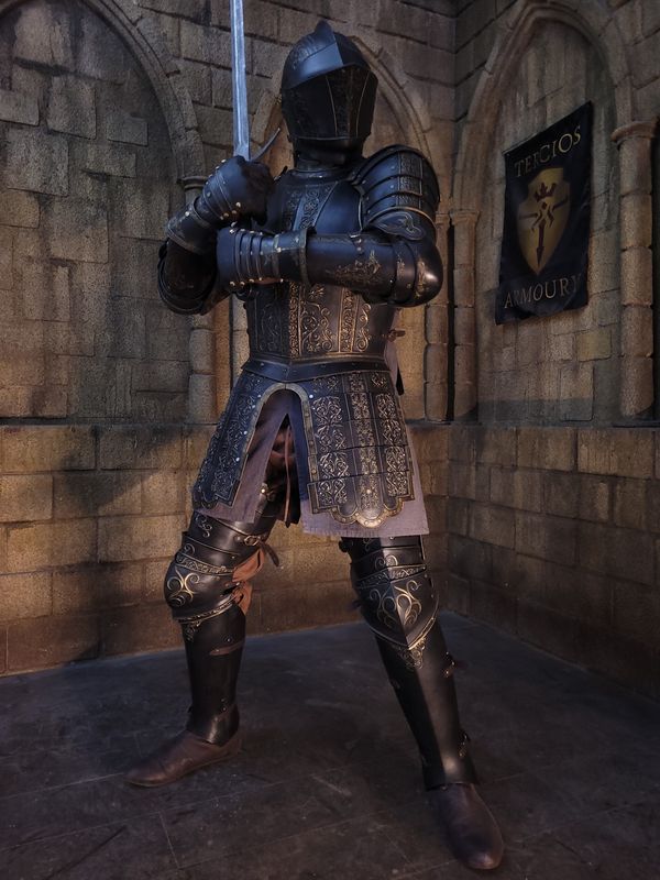 Black Sir Vinhem armor