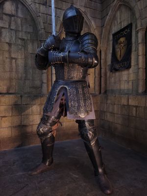 Black Sir Vinhem armor Black Sir Vinhem armor