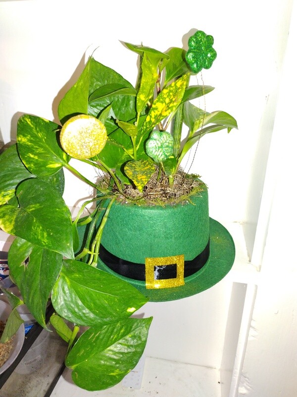 Luck of the Irish planter