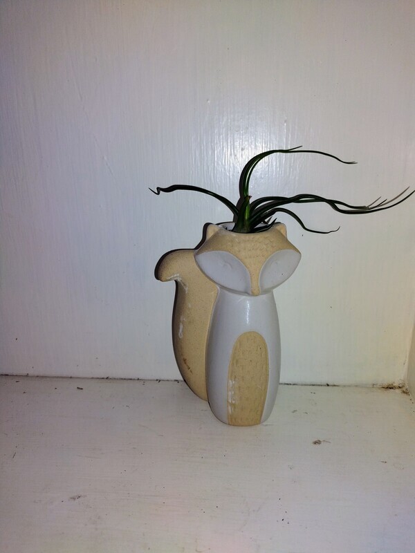 Fox airplant holder A