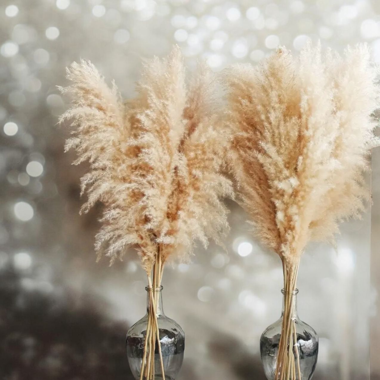 Boho -Pampasgras  1 -Set  (6 Stück)  1m -1,10 m