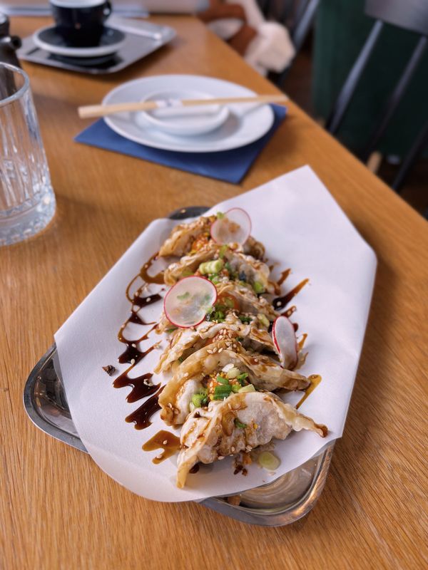 GYOZA KACZKA 6 PC