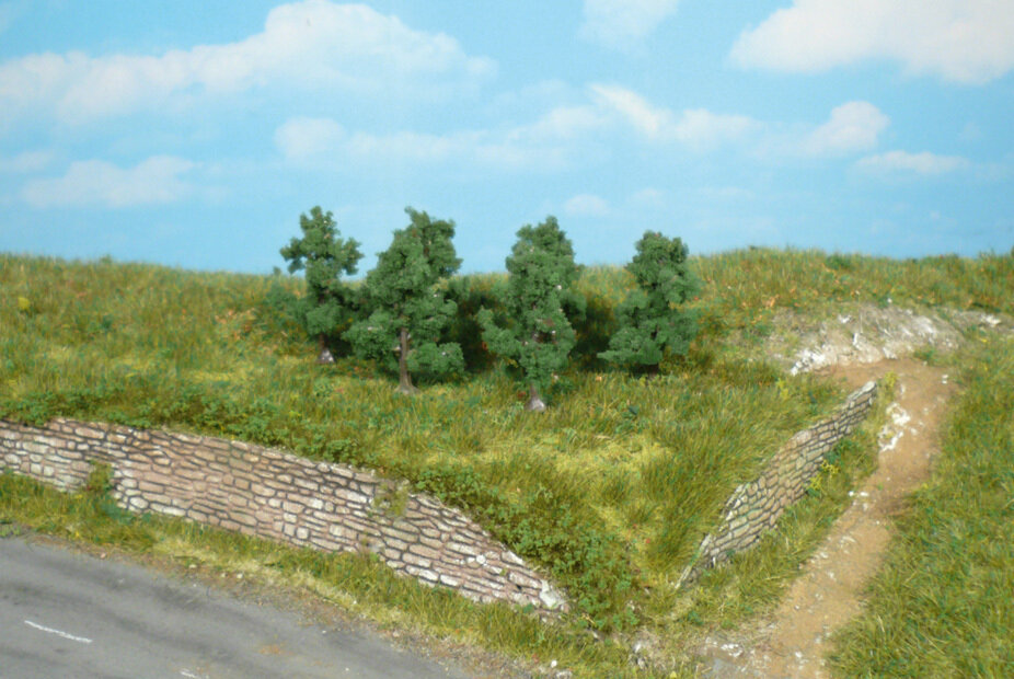 6 Apfelbäume 4 cm