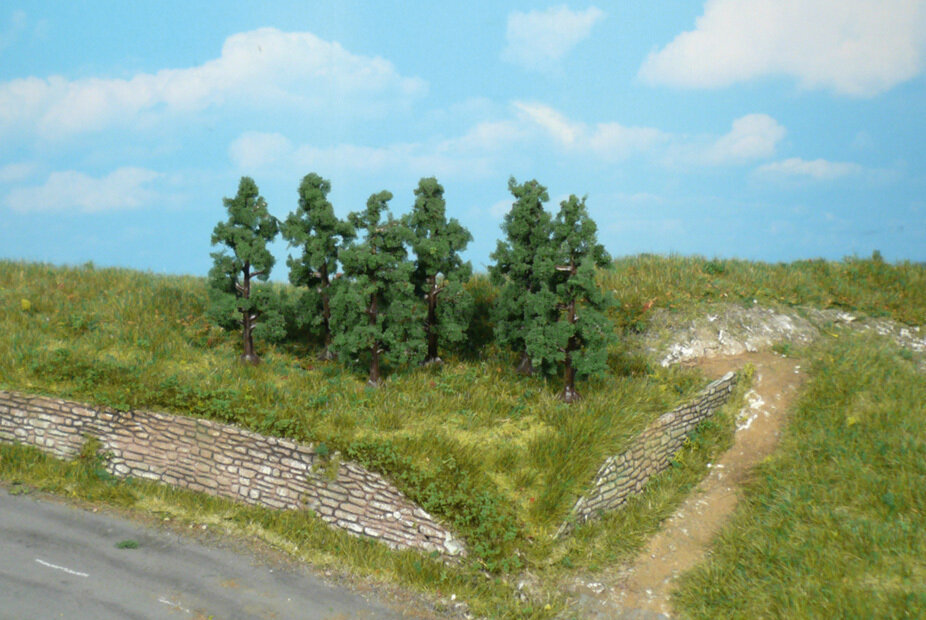 6 Birnbäume 