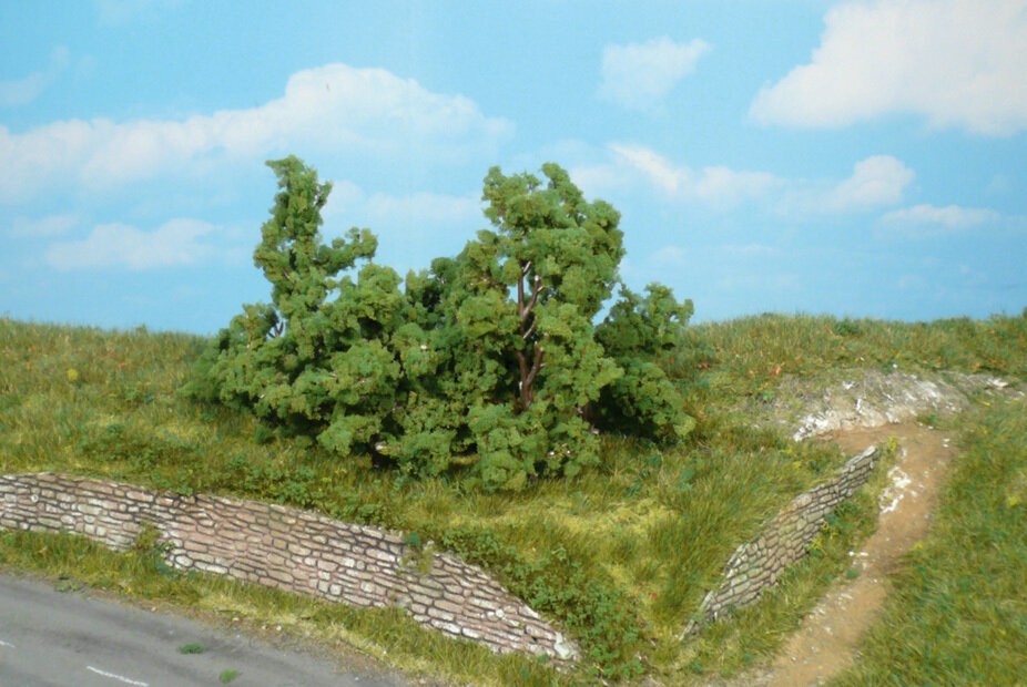 5 Büsche u. Sträucher 