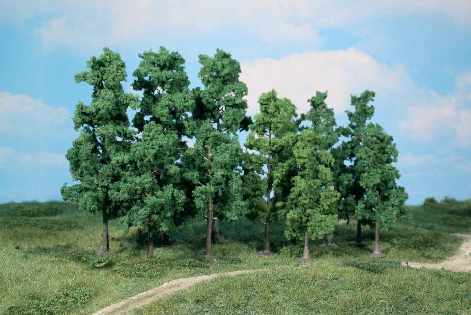 30 Bäume 12-18 cm