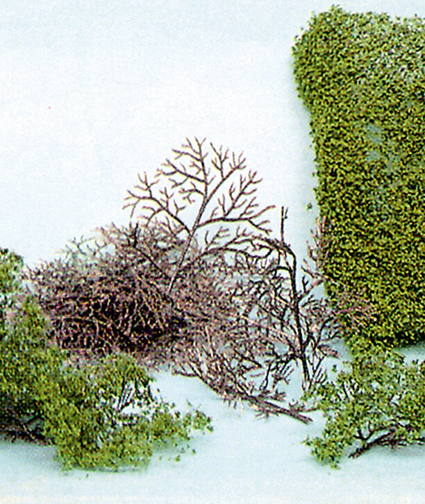 15 Büsche + HEKI flor