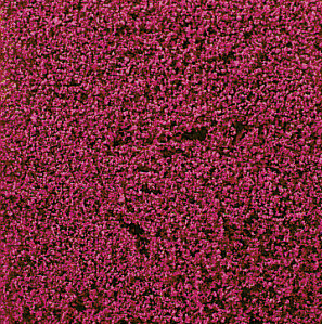 decovlies Blumendecor erika 