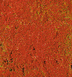decovlies Blumendecor rot 