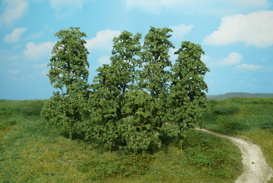12 Naturbäume dunkelgrün