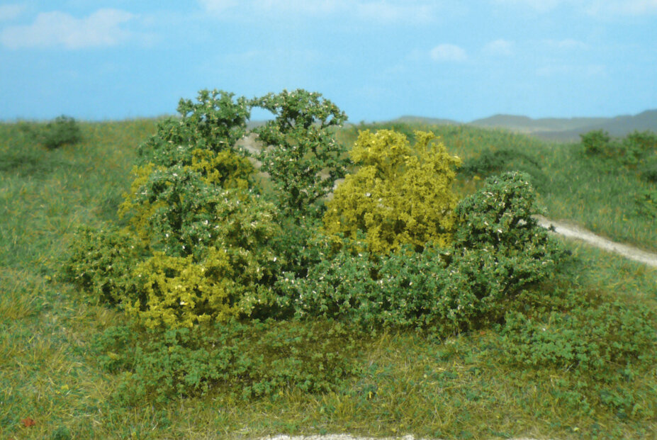 20 Naturbüsche