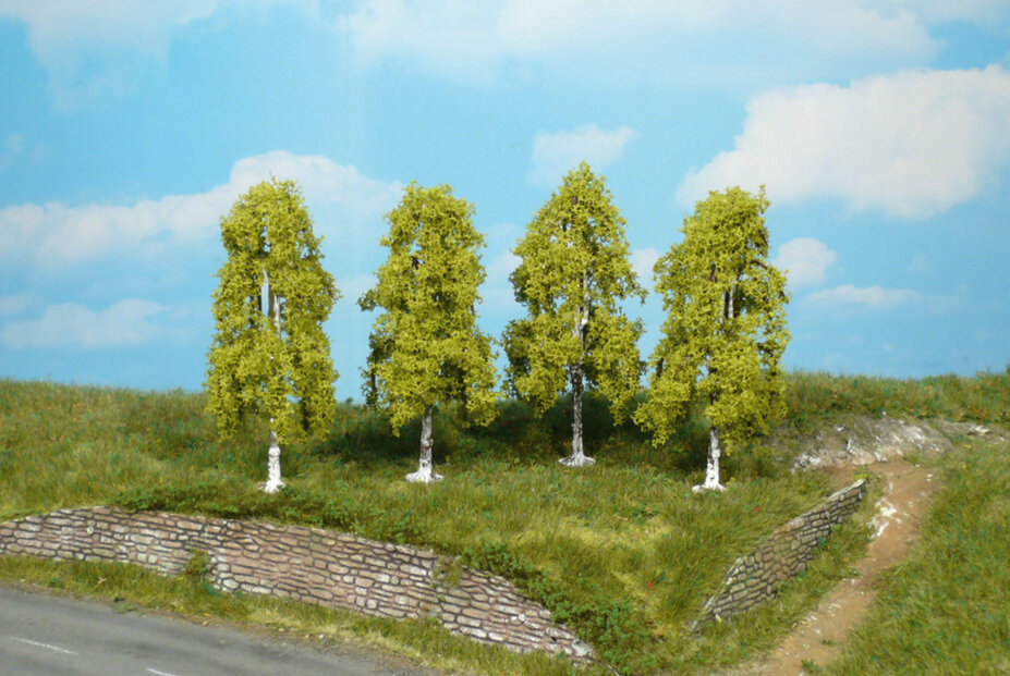 4 Hängebirken 