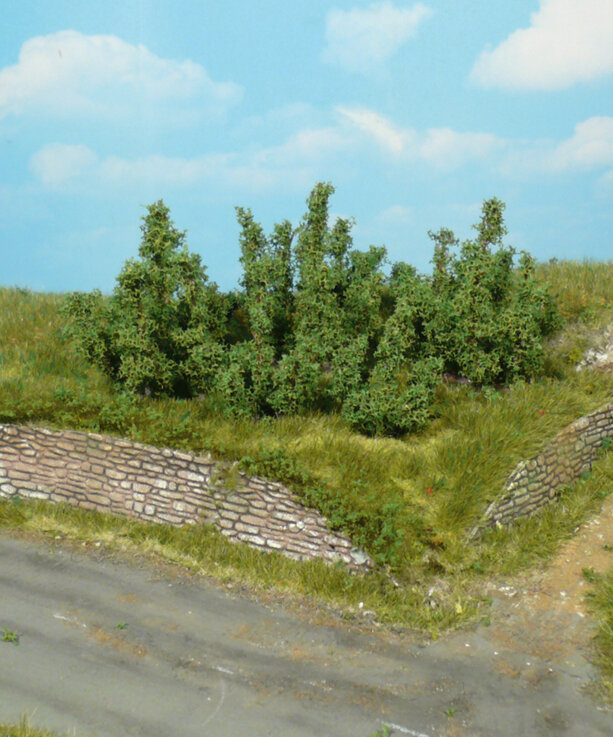 4 Büsche