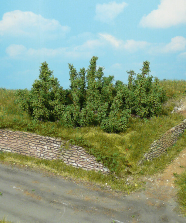10 Büsche