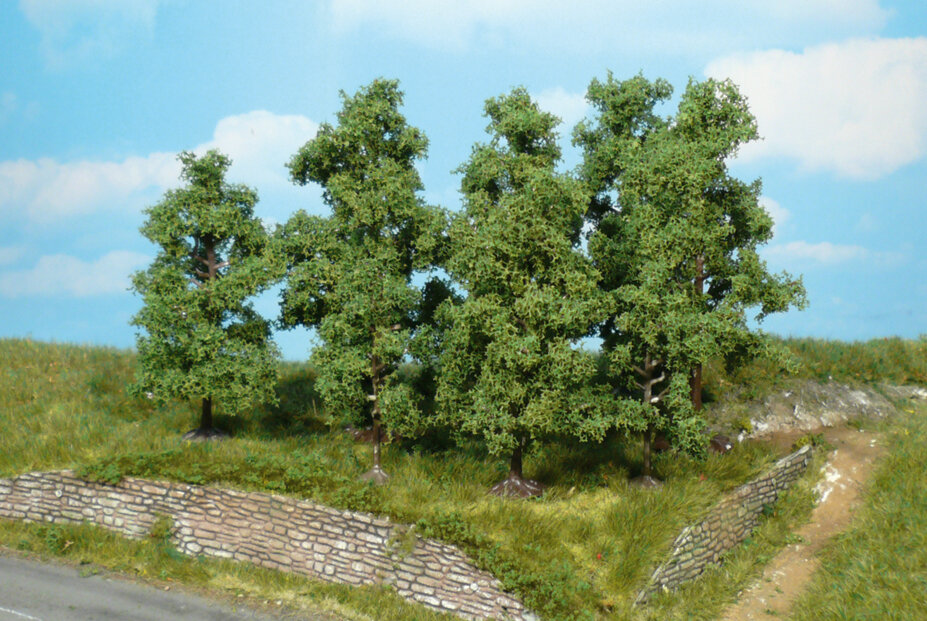5 Obstbäume 