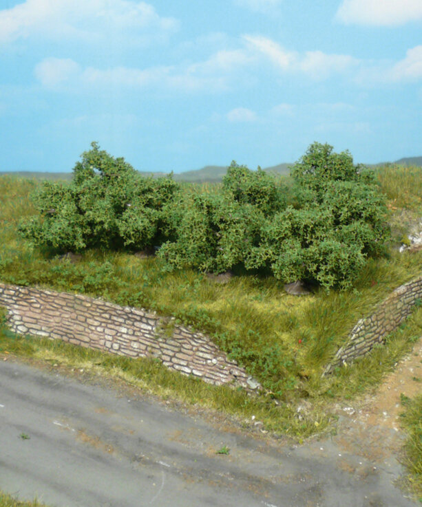 8 Büsche 