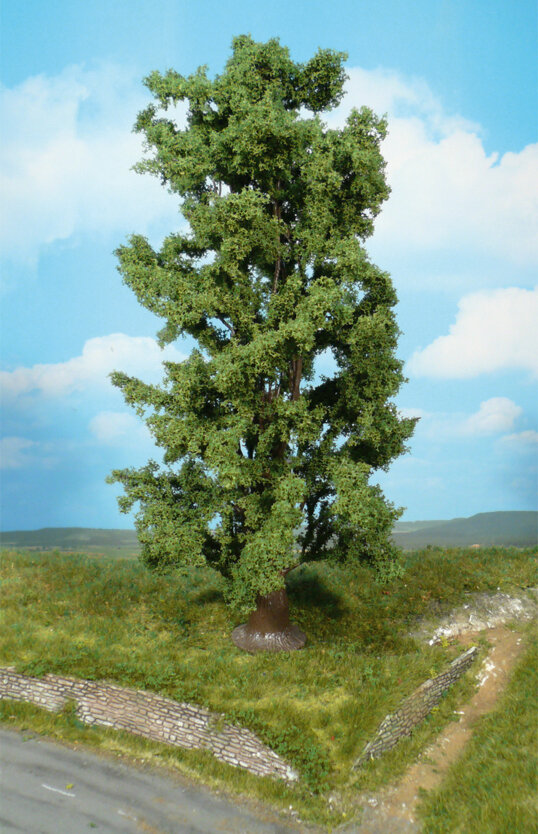 1 Felsenahorn 