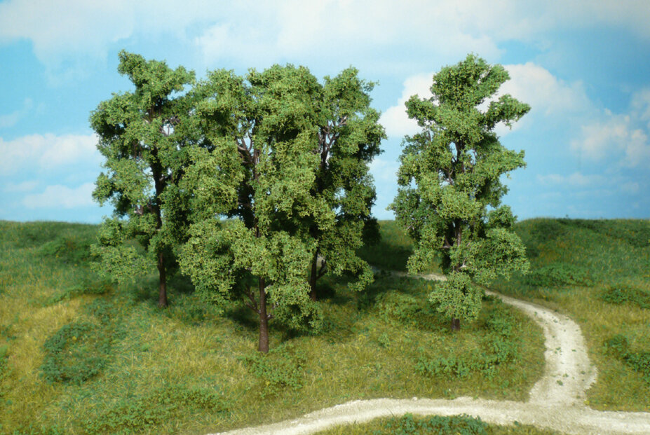 4 Laubbäume 