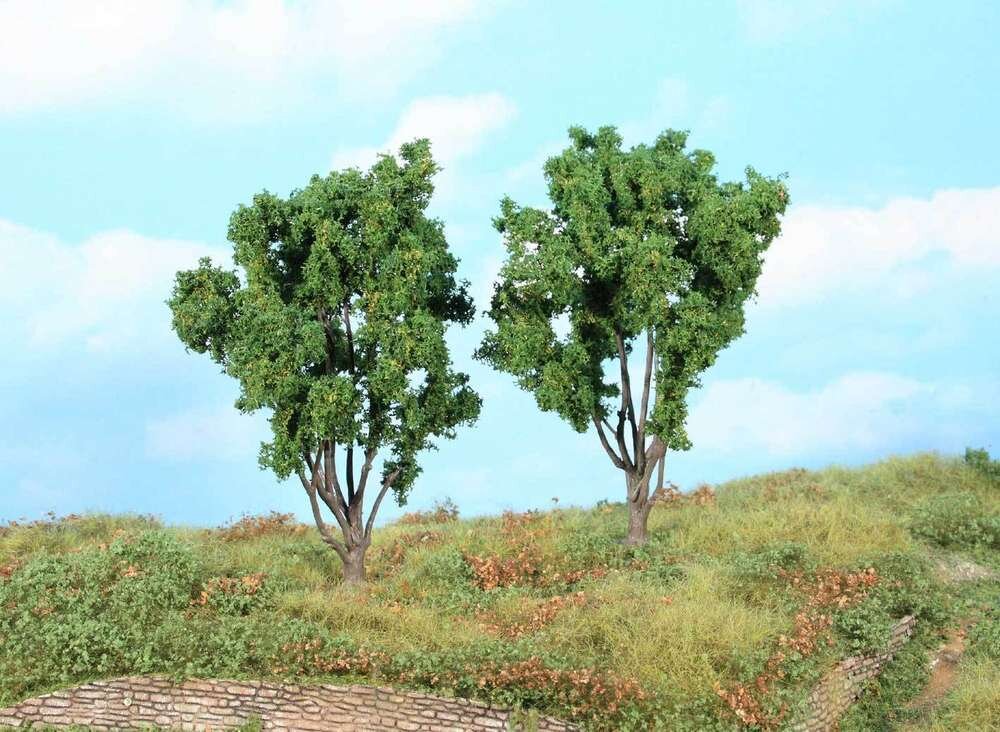 2 Mimosen 