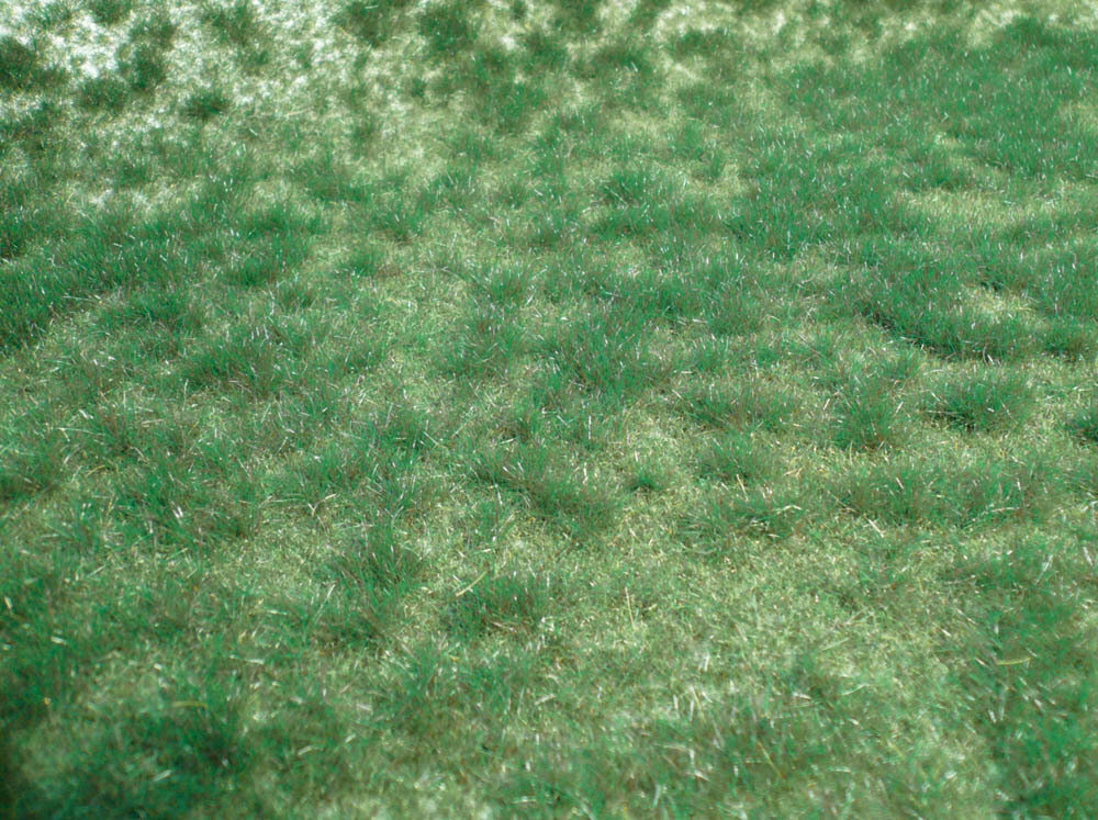 realistic Wildgras Moorboden