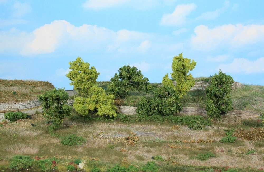 7 Büsche und Sträucher 