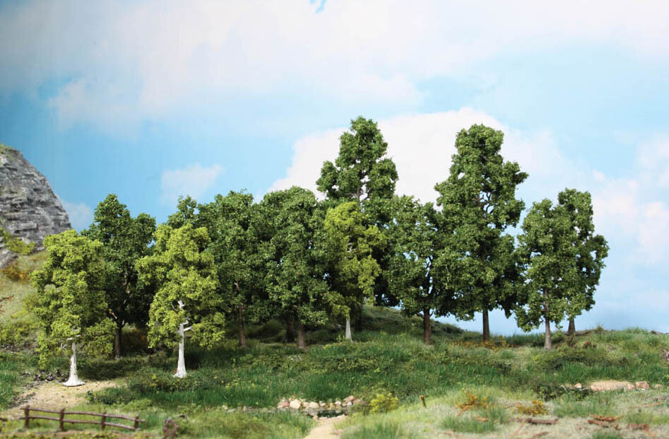 15 Laubbäume 