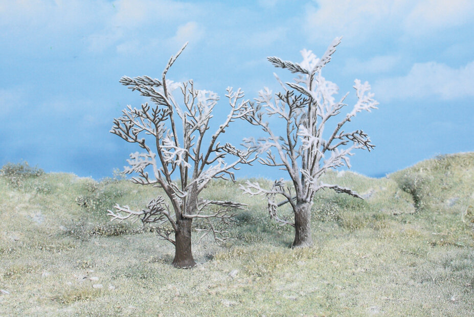 2 Winterbäume 