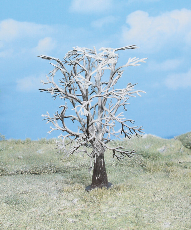 1 Winterbaum 
