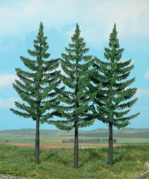 3 Hochstammfichten 