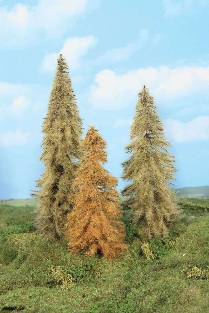 3 Lärchen herbstlich 
