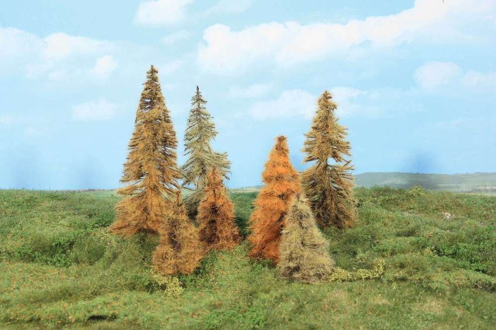 7 Lärchen herbst 