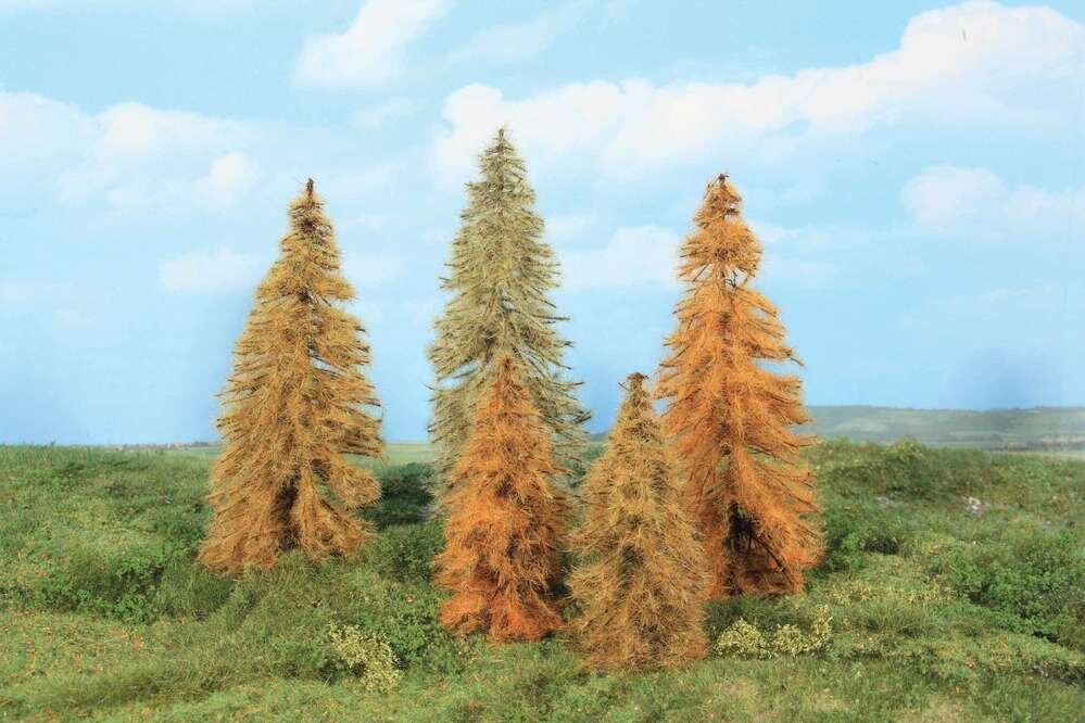 5 Lärchen herbstlich 
