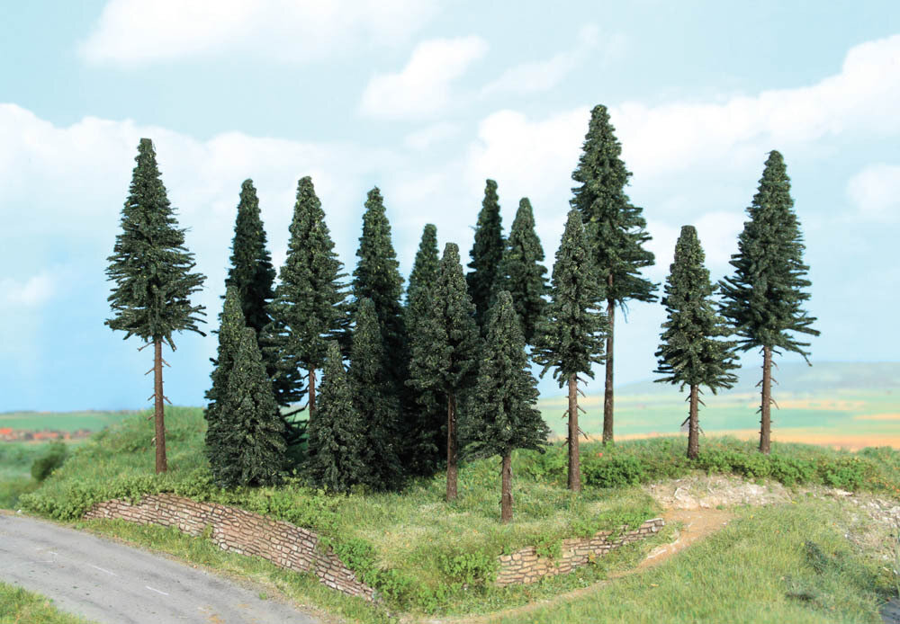Tannenwald, 20 Tannen 