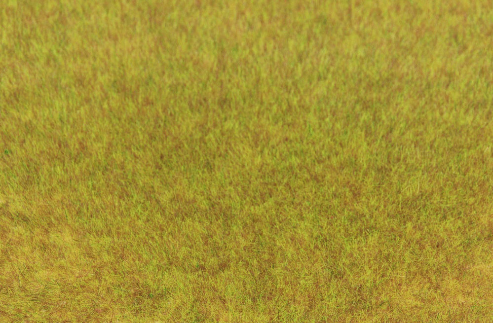 Wildgras Herbst