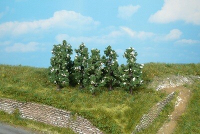 6 Birnbäume 