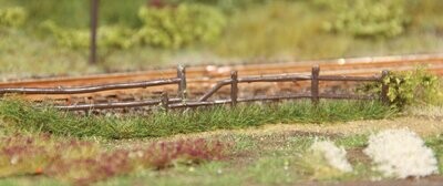 10 Grasstreifen Sommer