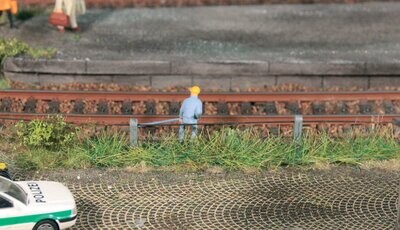 8 Grasstreifen Sommer