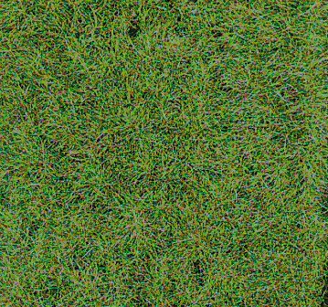 Wildgrasmatte Waldboden