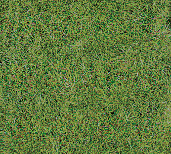 Wildgrasmatte wiesengrün
