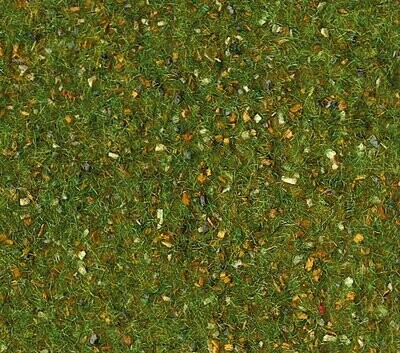 Grasmatte Waldboden