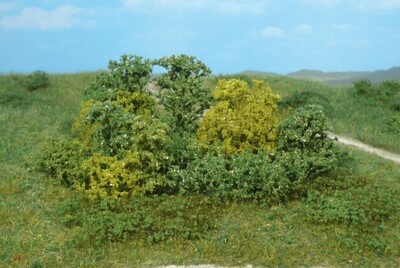 20 Naturbüsche