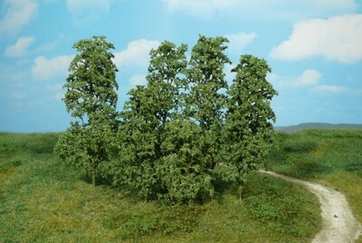 12 Naturbäume dunkelgrün