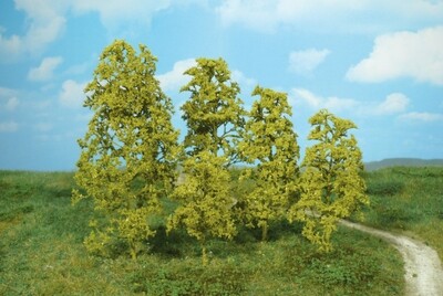 12 Naturbäume hellgrün